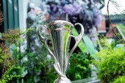 英雄联盟世界赛 视频-女足亚冠小组赛分组：武汉与伊朗、印度、乌兹别克球队同组